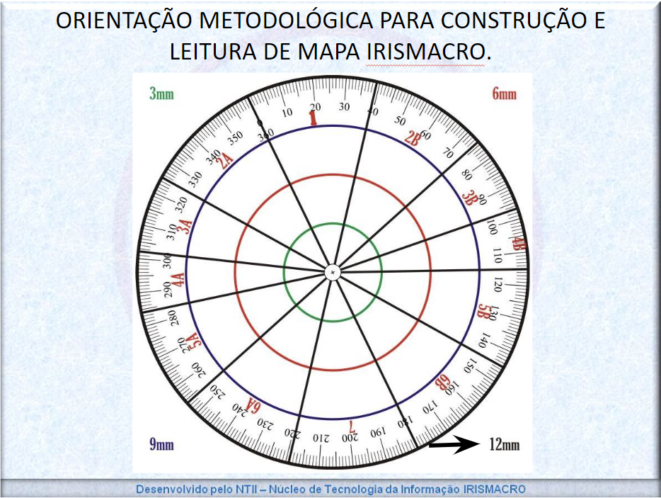 Mapa Irismacro Iridologia - Autor: Derneval Andrade